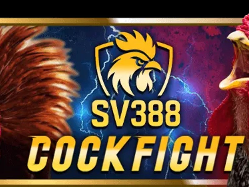 Hình ảnh Đá Gà s666.me